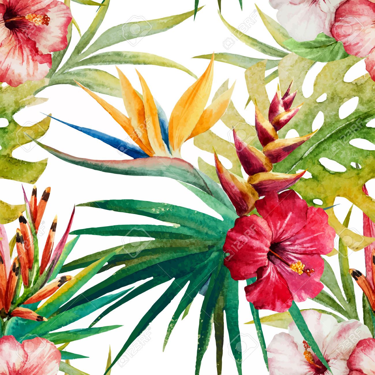 1300x1300 Beautiful Vector Pattern With Nice Watercolor Tropical Flowers - Watercolor Tropical Flowers