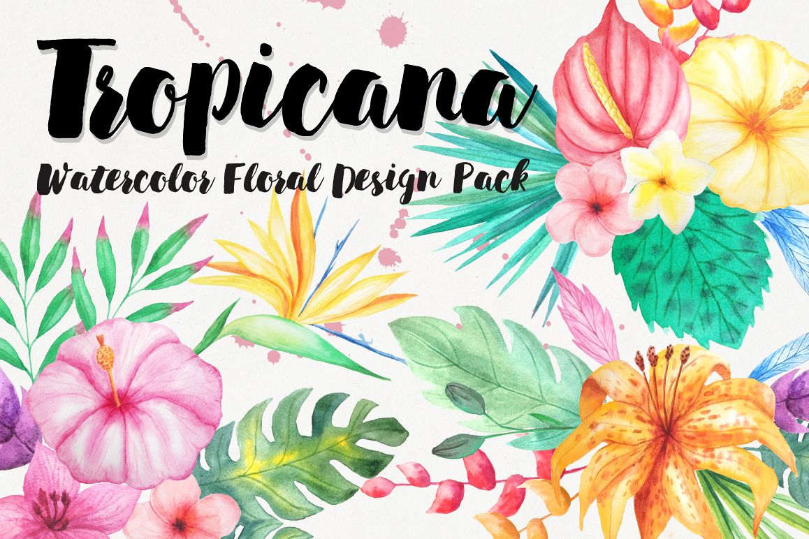 1158x772 Watercolor Tropical Floral Pack - Watercolor Tropical Flowers