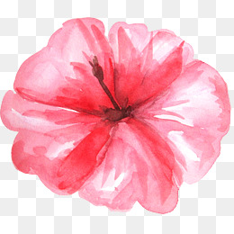260x260 Watercolor Tropical Flowers Png Images Vectors And Psd Files - Watercolor Tropical Flowers