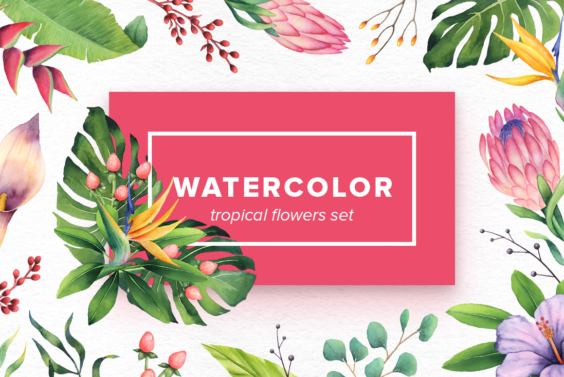 1159x776 Watercolor Tropical Flowers Set In Design Elements On Yellow - Watercolor Tropical Flowers