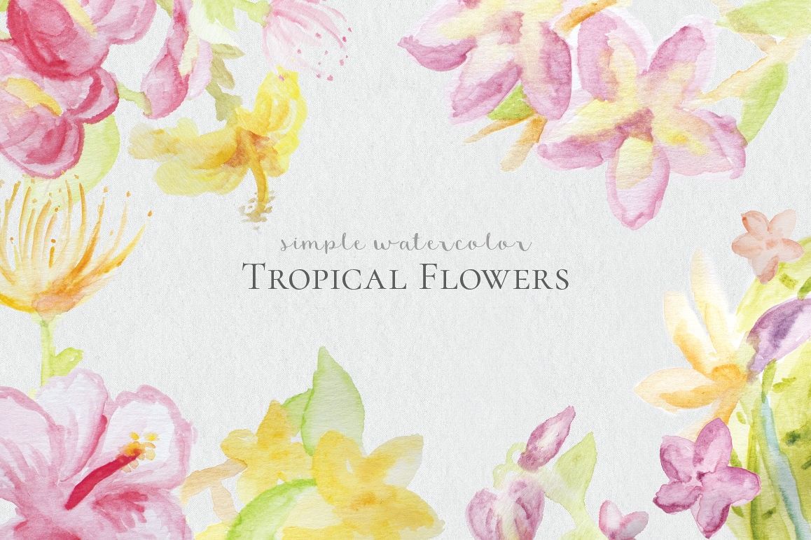 1158x772 Watercolor Tropical Flowers - Watercolor Tropical Flowers