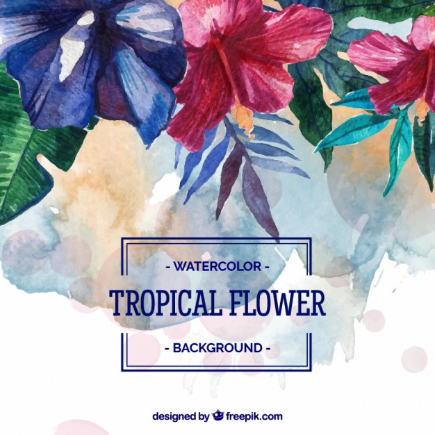 626x626 Watercolor Tropical Flower Background Stock Images - Watercolor Tropical Flowers