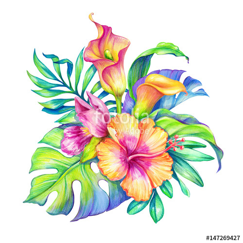 500x500 Watercolor Floral Illustration, Exotic Nature, Tropical Flowers - Watercolor Tropical Flowers