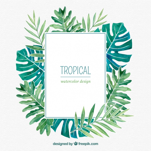 626x626 Tropical Leaves Frame With Watercolor Style Vector Free Download - Watercolor Tropical Leaves