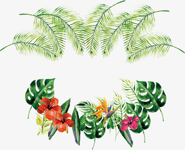 650x528 Watercolor Tropical Bottle Border, Vector Png, Tropical Plants - Watercolor Tropical Leaves