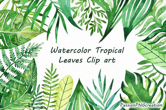 570x380 Watercolor Tropical Leaves Clip Art Handpainted Clipart Png Etsy - Watercolor Tropical Leaves