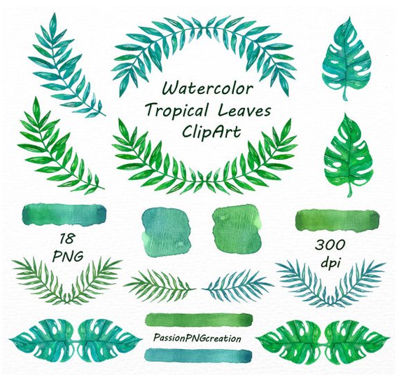 570x545 Watercolor Tropical Leaves Clipart Watercolor Leaves Etsy - Watercolor Tropical Leaves