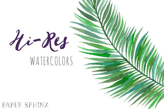 570x379 Watercolor Tropical Leaves Clipart Palm Leaves Clipart Etsy - Watercolor Tropical Leaves