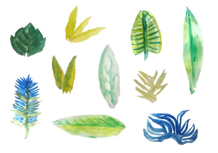 700x490 Free Watercolor Tropical Leaves Vectors - Watercolor Tropical Leaves