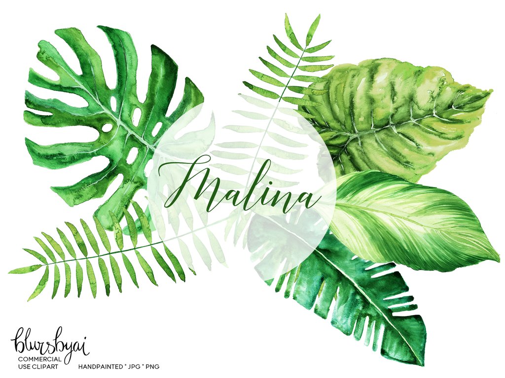 1024x768 Watercolor Tropical Leaves, Monstera Clipart, Palm Clipart Blursbyai - Watercolor Tropical Leaves