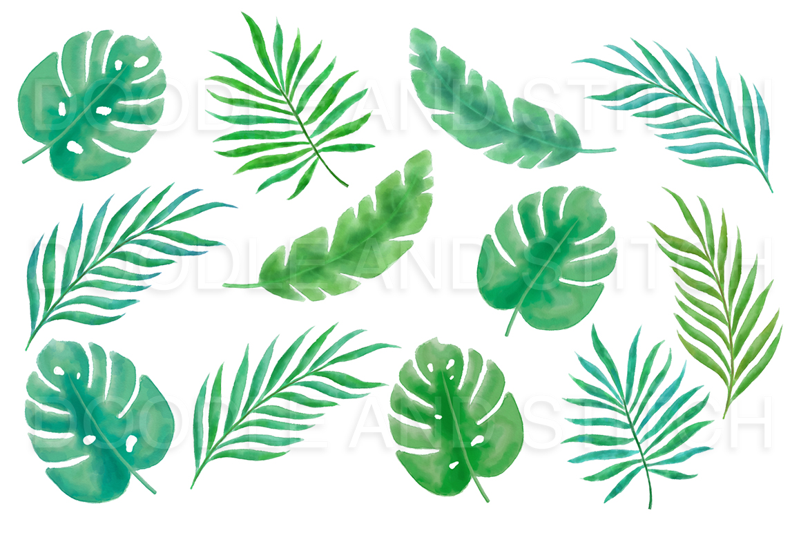 1160x772 Tropical Leaves Watercolor Clipart Illustrations By Doodle Art - Watercolor Tropical Leaves