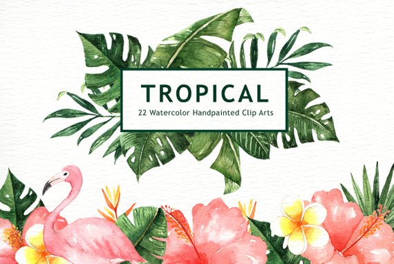 570x382 Tropical Leaves Watercolor Clipart Watercolor Flower Etsy - Watercolor Tropical Leaves