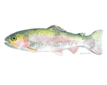 340x270 Fishing Painting Fish Shaped Painting Wood Wall Art By Kayzattic - Watercolor Trout