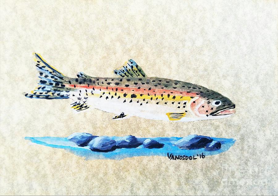 900x633 Rainbow Trout Watercolor Painting Painting By Scott D Van Osdol - Watercolor Trout