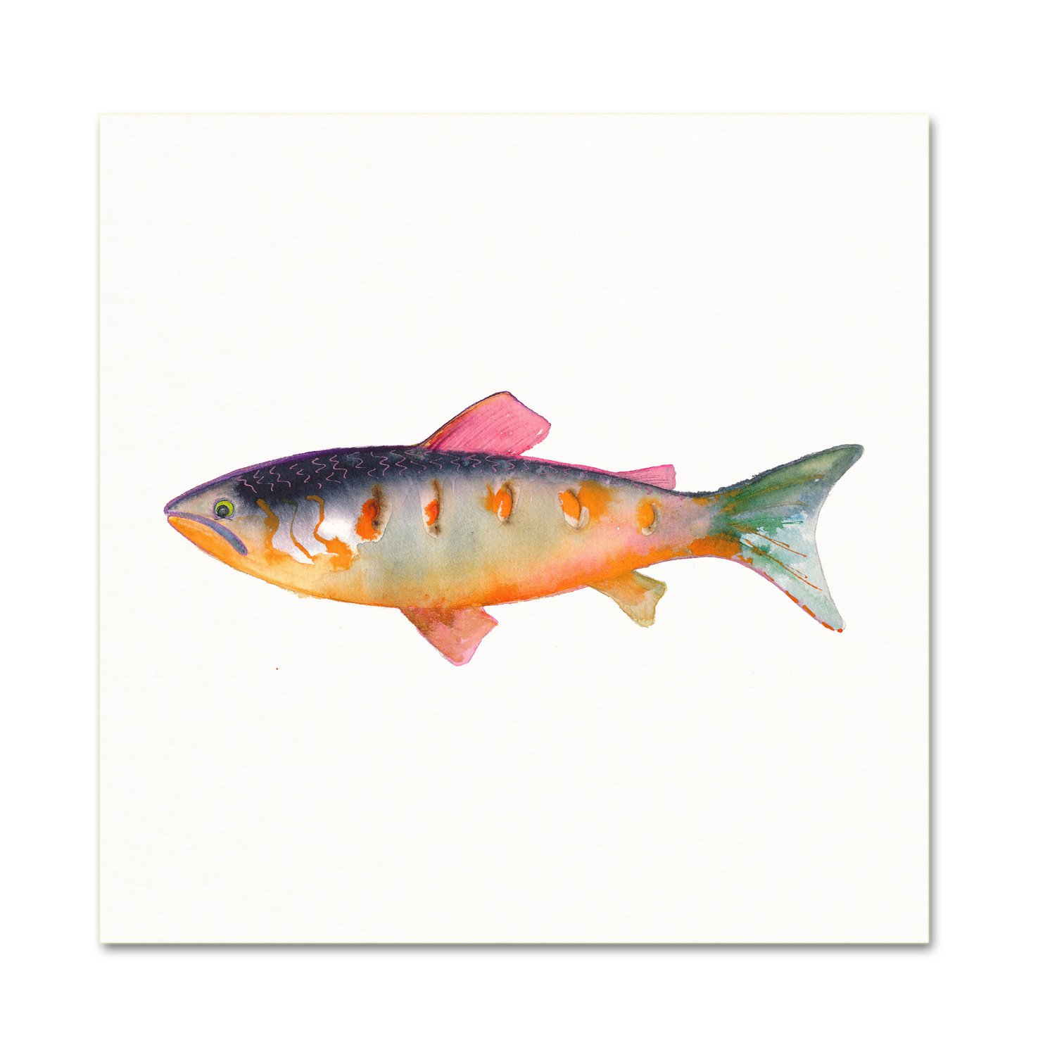 1475x1475 Trout Watercolor - Watercolor Trout