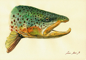 300x210 Trout Watercolor Painting Painting By Juan Bosco - Watercolor Trout