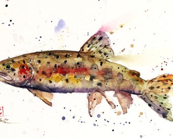 340x270 Watercolor Trout Art Etsy - Watercolor Trout