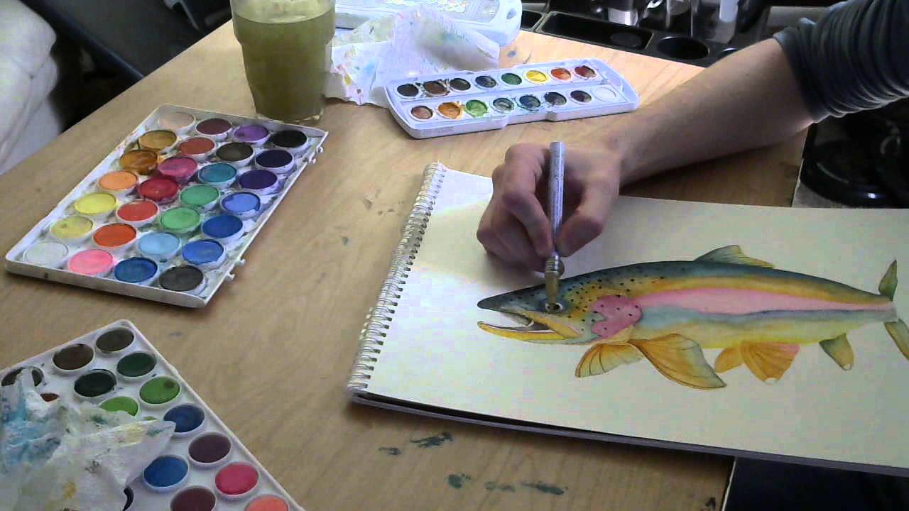 1280x720 Big Rainbow Beginning To End Watercolor Painting - Watercolor Trout