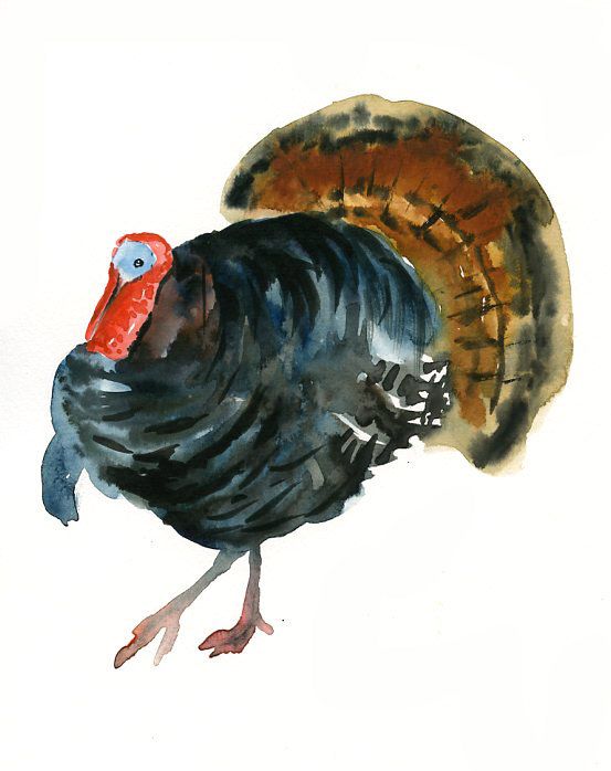 553x698 Turkey By Dimdi Original Watercolor Painting 8x10inch (Vertical - Watercolor Turkey