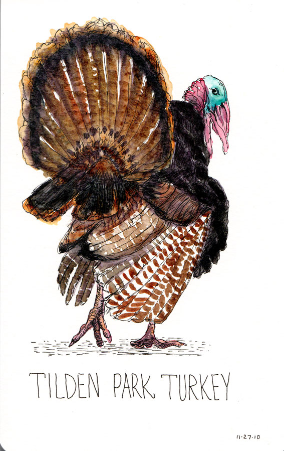 567x899 Thanksgiving Turkey Leftovers Jana Bouc, Artist - Watercolor Turkey