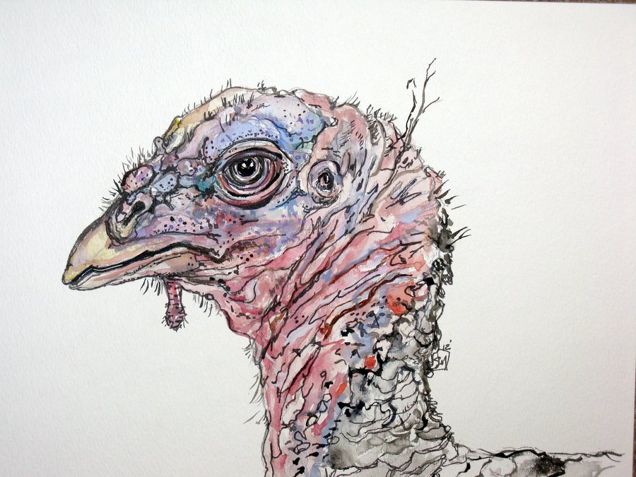 900x675 Turkey Watercolor Final By Lamelobo - Watercolor Turkey