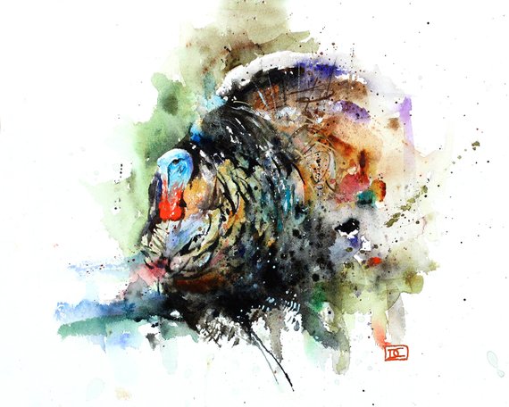 570x456 Wild Turkey Watercolor Bird Print By Dean Crouser Etsy - Watercolor Turkey