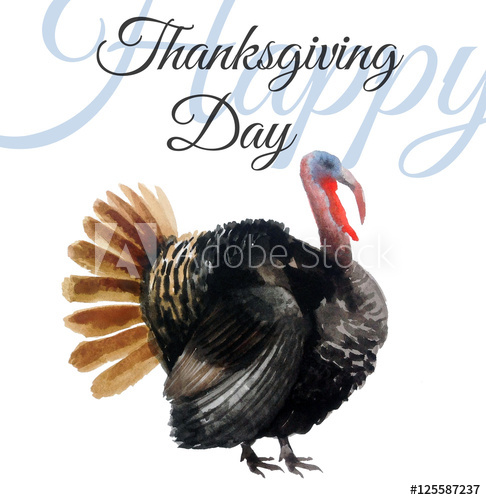 486x500 Watercolor Turkey - Watercolor Turkey