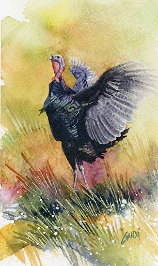 326x550 Wild Turkey Ii By Joe Garcia Watercolor Artwatercolor - Watercolor Turkey