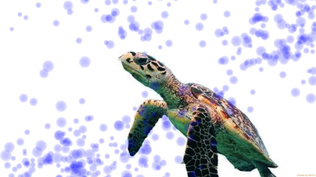 1280x720 Sea Turtle (Watercolor Painting) - Watercolor Turtle