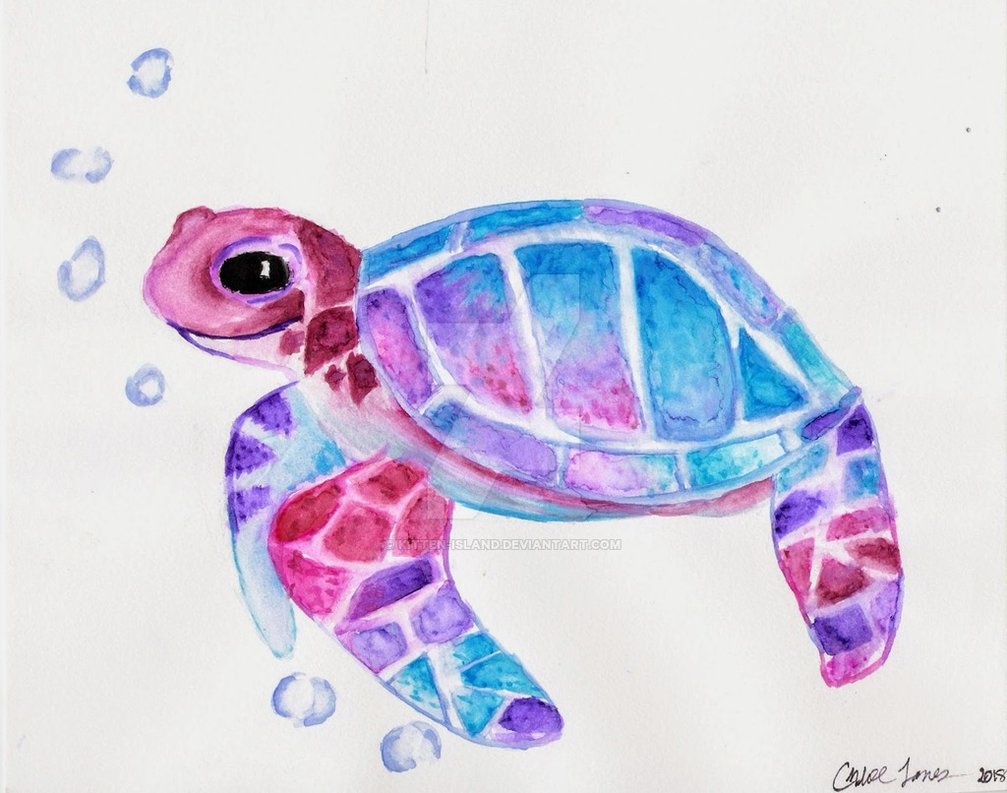 1007x793 Watercolor Turtle By Kitten Island - Watercolor Turtle