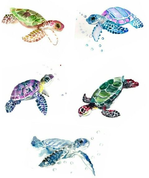 480x576 Watercolor Tattoo - Watercolor Turtle Tattoo