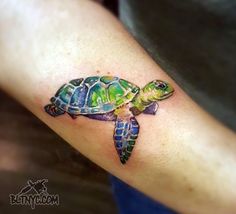 236x214 71 Best Tattoowatercolor Images In 2018 Tortoise - Watercolor Turtle Tattoo