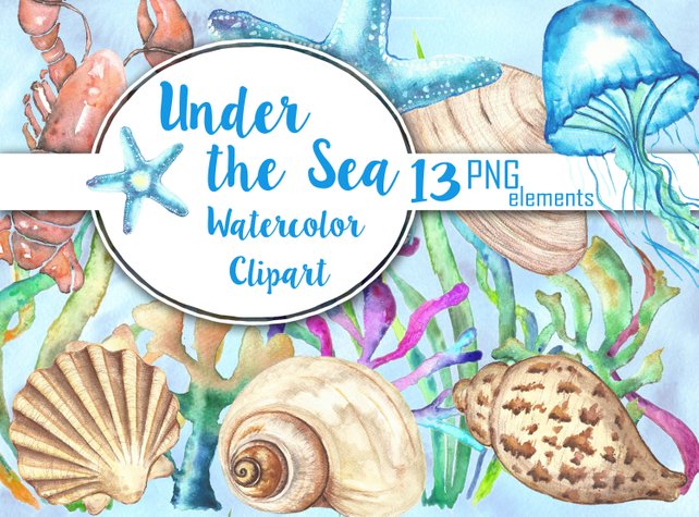 642x475 Sea Shells Watercolor Clipart Under The Sea Clip Art Etsy - Watercolor Under The Sea
