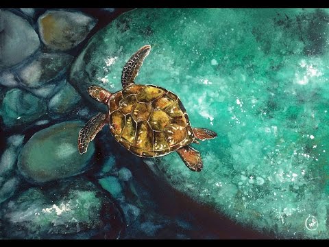 480x360 Watercolor Underwater Sea Turtle - Watercolor Underwater Scene