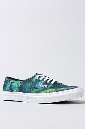Watercolor Vans