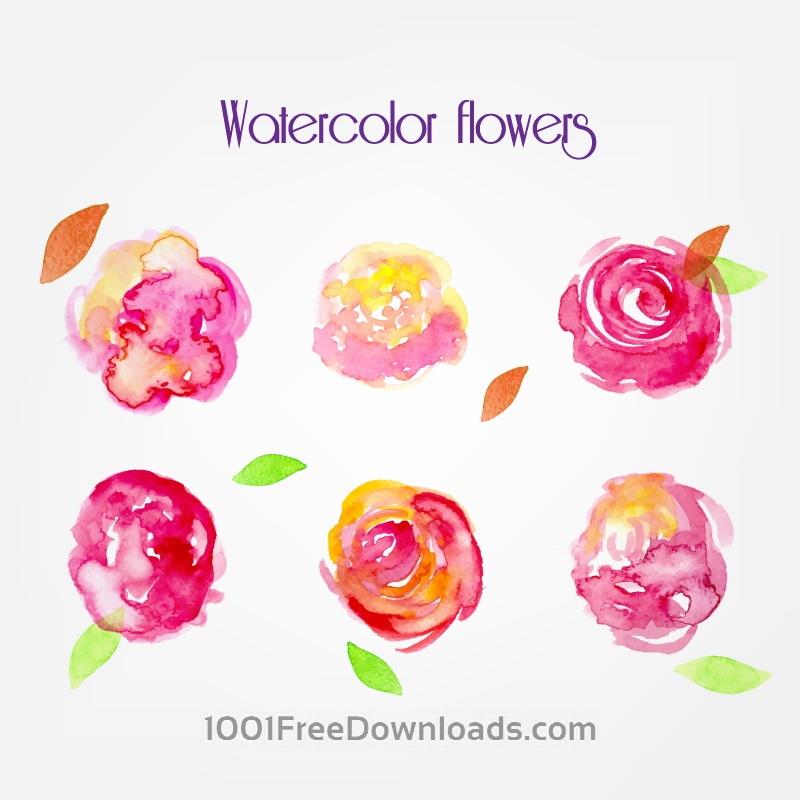 800x800 Free Vectors Watercolor Vector Flowers Flowers - Watercolor Vector Art