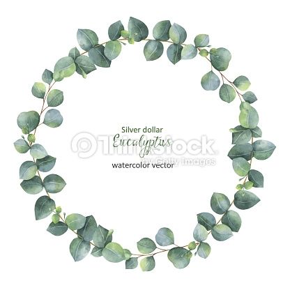 416x416 Vector Art Watercolor Vector Round Wreath With Silver Dollar - Watercolor Vector Art