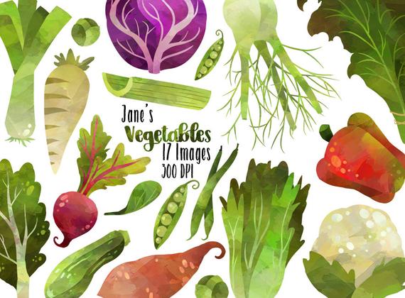 570x420 Watercolor Vegetables Clipart Healthy Food Download Etsy - Watercolor Vegetables