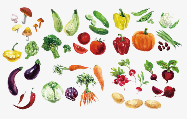 650x415 Watercolor Vegetables Png, Vectors, Psd, And Clipart For Free - Watercolor Vegetables