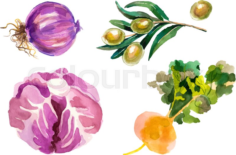 800x525 Watercolor Painted Collection Of Vegetables. Hand Drawn Fresh Food - Watercolor Vegetables