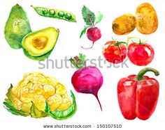 236x187 48 Best Watercolor Vegetables And Fruits Images - Watercolor Vegetables