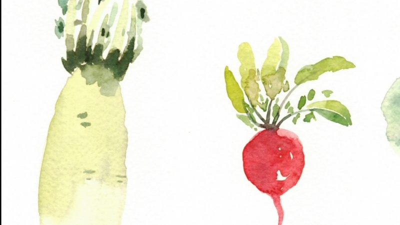 800x450 Watercolor Vegetables Skillshare Projects - Watercolor Vegetables