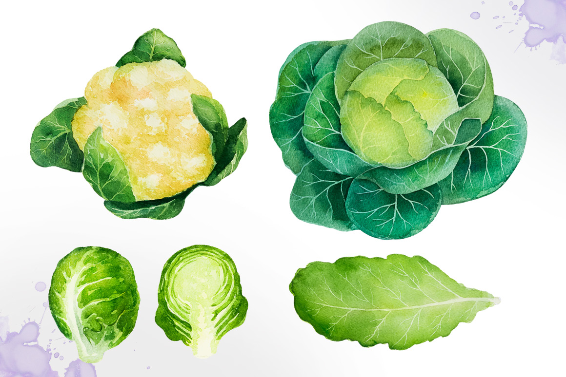 1160x774 Watercolor Vegetables - Watercolor Vegetables