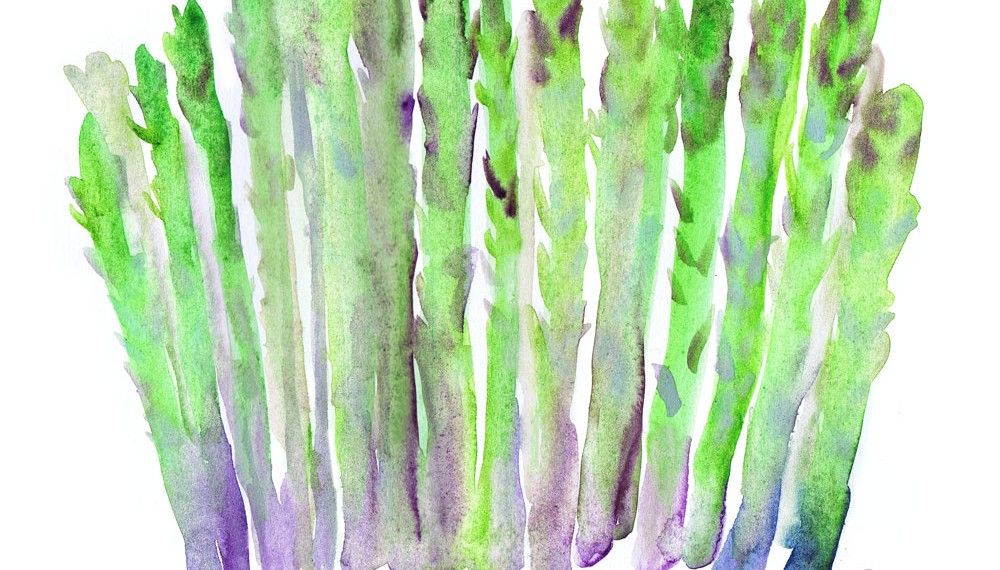 1000x570 Watercolor Vegetables Watercolor Watercolor - Watercolor Vegetables
