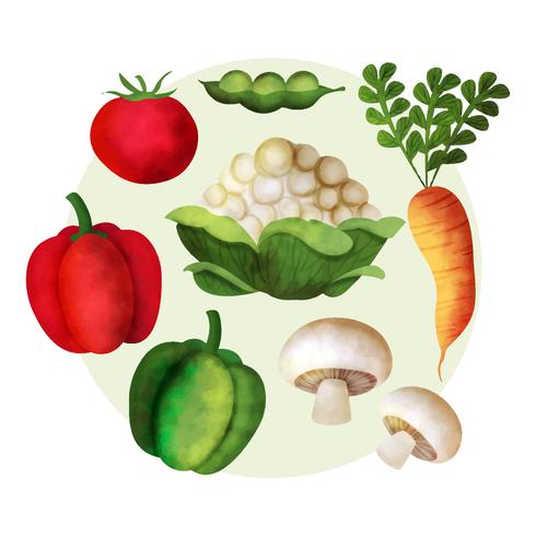 490x490 Vector Watercolor Vegetables - Watercolor Vegetables