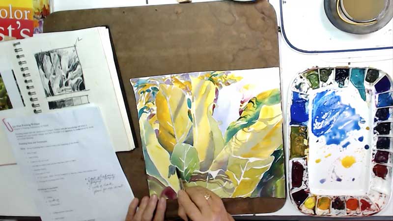 800x449 Watercolor Video - Watercolor Video