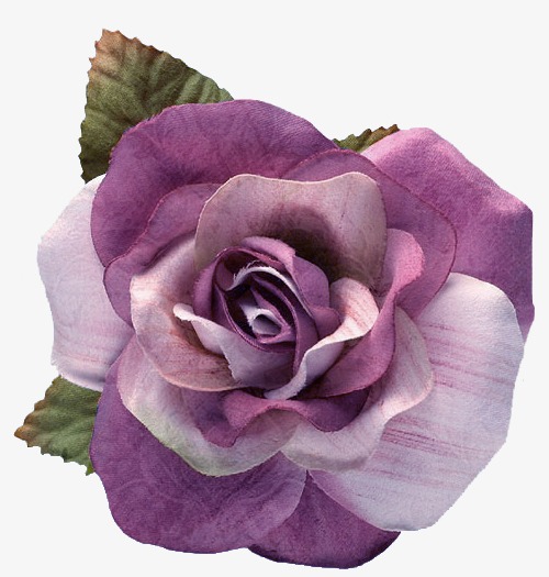 500x525 Line Drawing Flowers Flowers Videos, Line Clipart, Flowers Line - Watercolor Videos Free