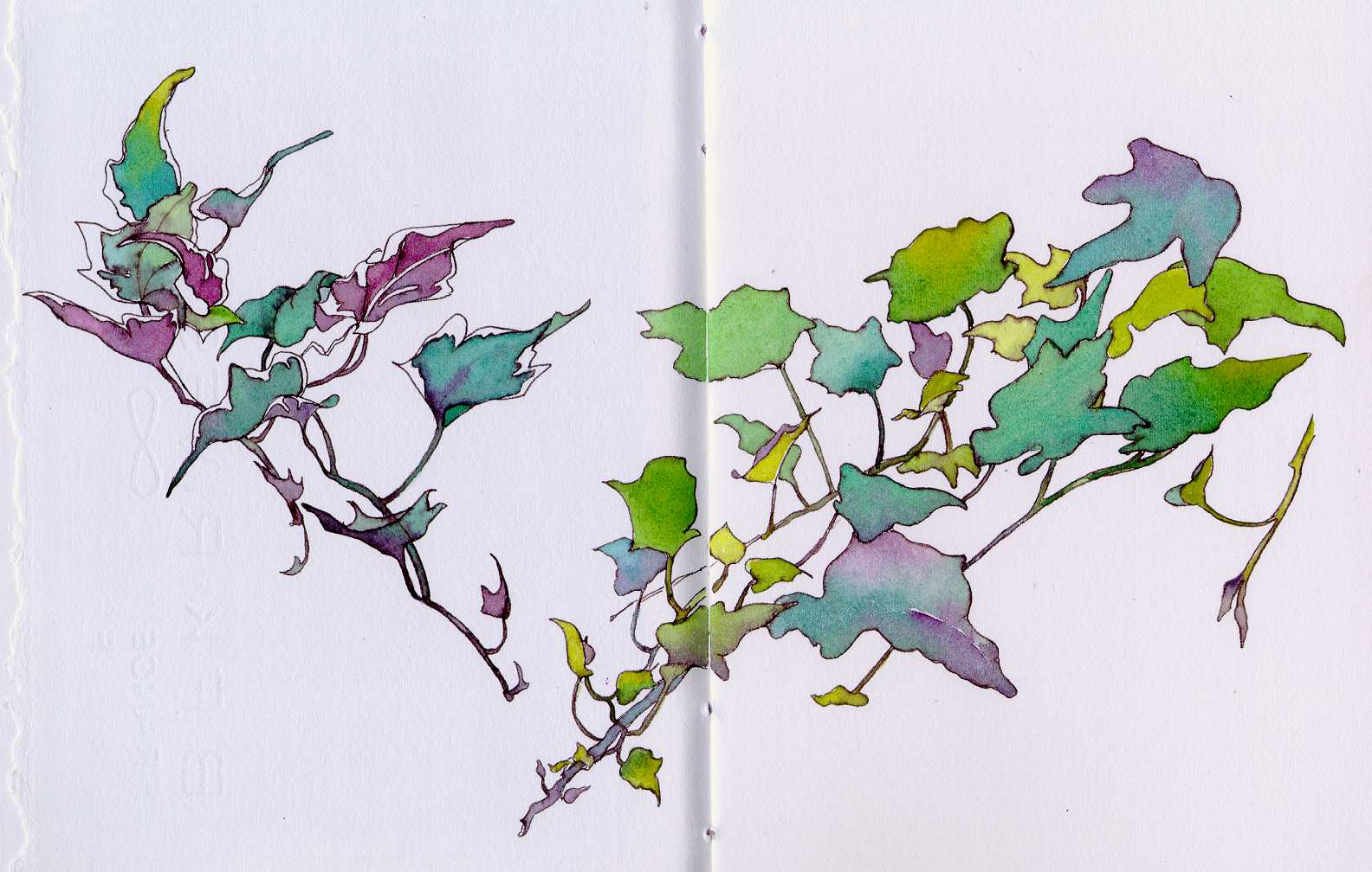 1584x1008 Using Botanical Shapes To Play With Color Chris Carter Artist - Watercolor Vines
