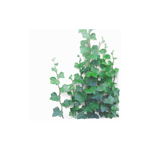 500x500 Watercolor Ivy - Watercolor Vines