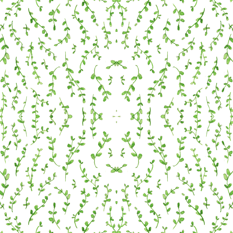 800x800 Watercolor Vines Wallpaper - Watercolor Vines